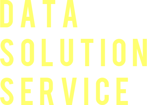 DATA SOLUTION SERVICE